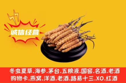 滁州全椒县回收冬虫夏草